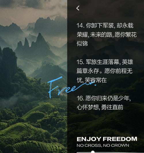 简短的退役祝福花语有哪些？