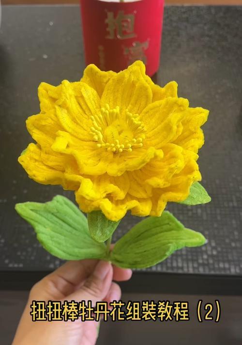 扭扭棒寓意吉祥的花有哪些？