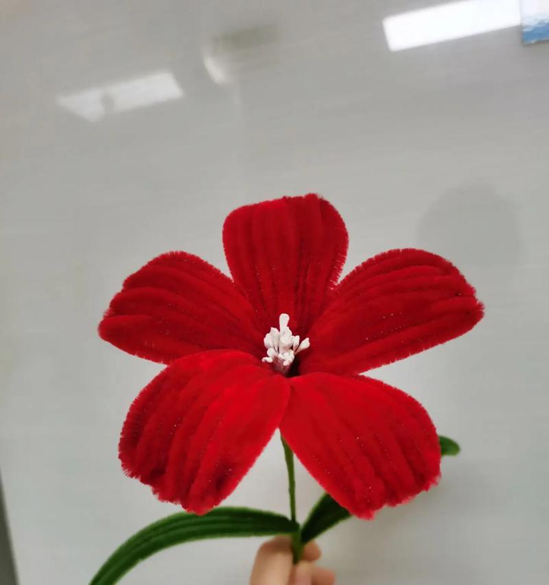 扭扭棒寓意吉祥的花有哪些？