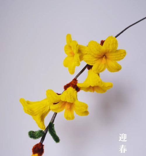 扭扭棒寓意吉祥的花有哪些？