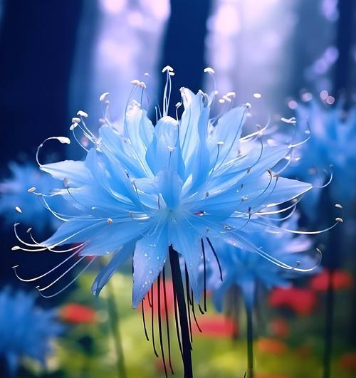 各色彼岸花有何含义？彼岸花的不同颜色代表什么？