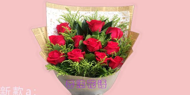 星河花语双色有何特别之处？如何搭配使用？