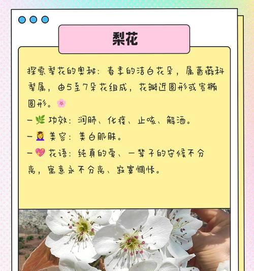 春天的花语如何表达健康？