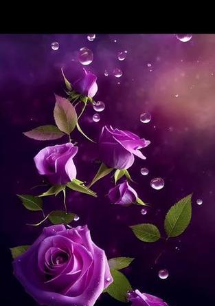 紫色喇叭花的寓意和花语是什么？它象征着什么？