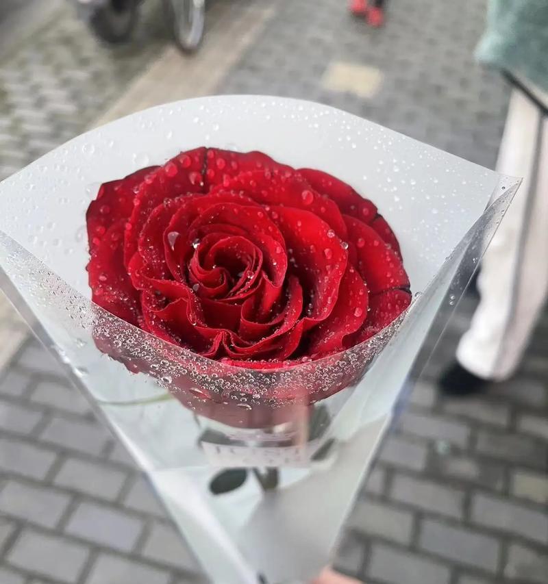 清明节收到玫瑰花代表什么？清明节玫瑰花的寓意是什么？