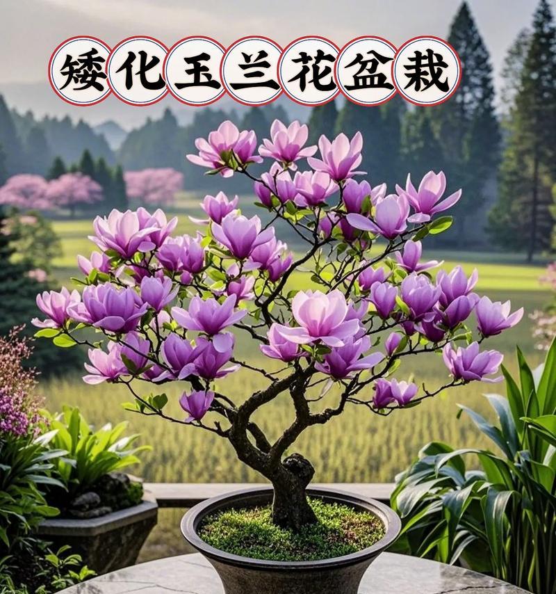 象征着圆满的爱情的花是什么？客厅盆栽寓意爱情的花有哪些？