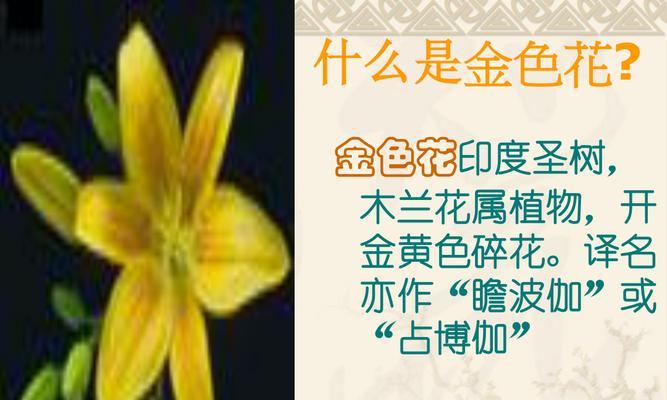 泰戈尔如何使用金色花作为象征？象征手法是什么？