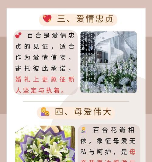 手捧假百合花有何特殊含义？