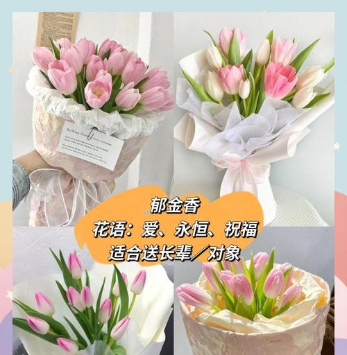 三八节送什么花给闺密？花语中隐藏的祝福是什么？