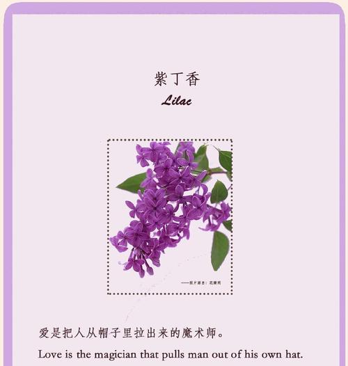 三八节送什么花给闺密？花语中隐藏的祝福是什么？