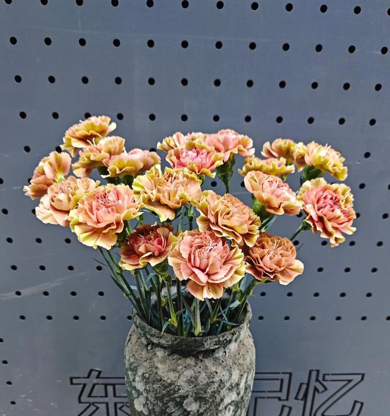 三八节送什么花给闺密？花语中隐藏的祝福是什么？