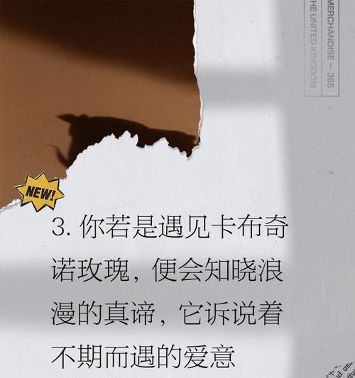 如何通过花语表达浪漫的爱意？