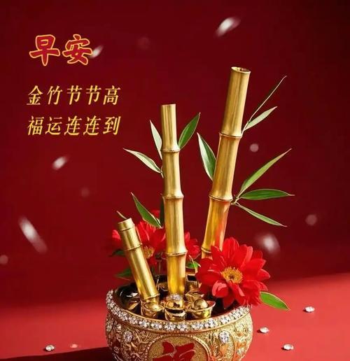 什么花代表节节高升？节节高升花语是什么？