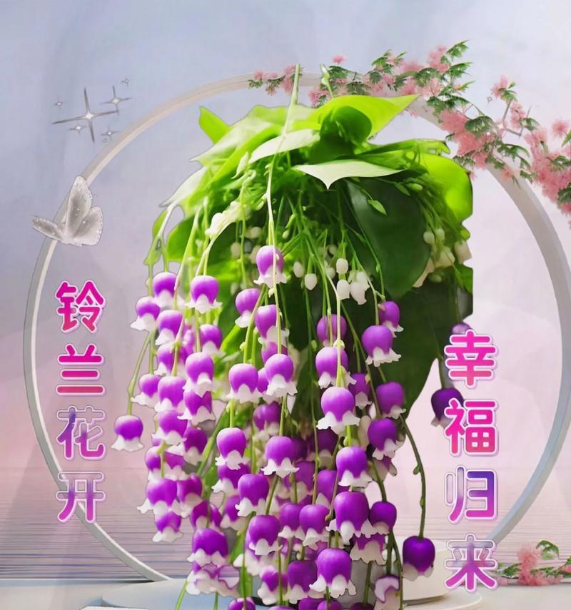 哪些花寓意幸福吉祥？它们的花语有哪些？
