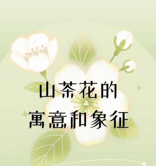 无助爱情的象征是什么花？这种花的花语有何含义？