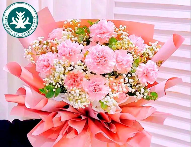 教师节送什么花给老公？有哪些花语适合教师节？