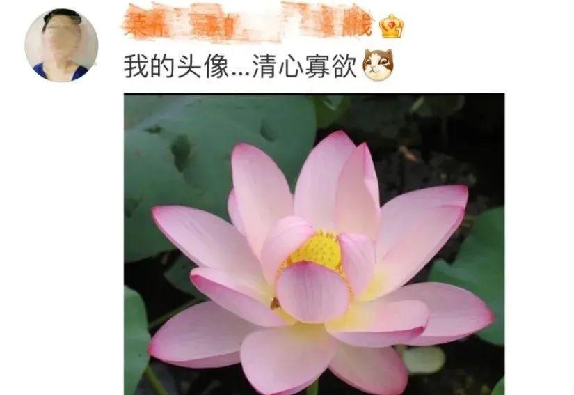 哪种花寓意长寿？用它做微信头像有何含义？