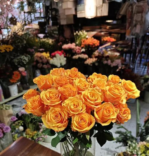 橙色朱槿花的花语是什么？它象征着什么？