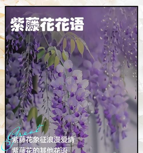 简短的花语表达爱情是什么？如何用花象征爱情？