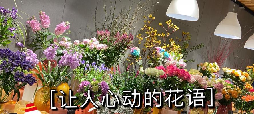 沙发毯的浪漫花语有哪些？如何选择合适的花语沙发毯？