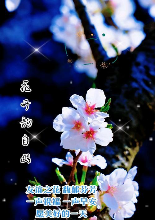 哪种花象征祝福和友谊？祝福友谊的花语有哪些？