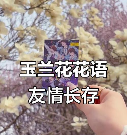 哪种花象征祝福和友谊？祝福友谊的花语有哪些？