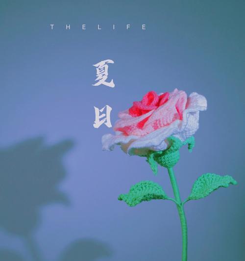 长辈送一枝花有什么寓意？它代表什么？