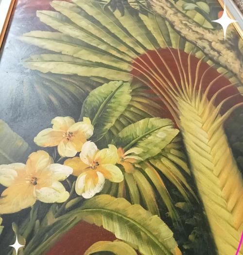 铁树白色花象征着什么？其寓意有哪些？