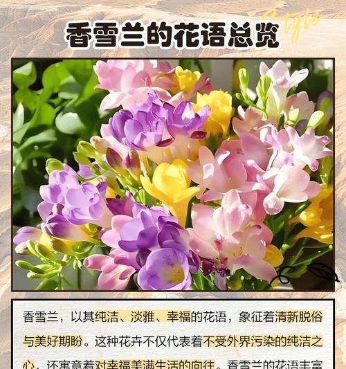 简短的花语幸福句子有哪些？它们的寓意是什么？