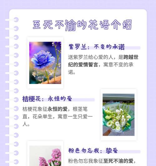 世界上哪些花象征爱情？它们的寓意是什么？