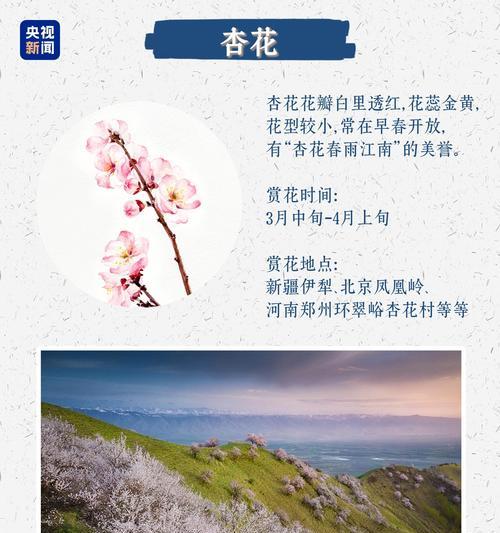 浪漫花朵有哪些？
