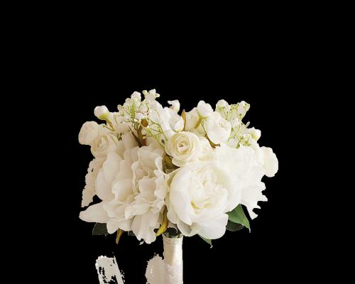 两朵白色牡丹花代表什么？白色牡丹花的寓意是什么？