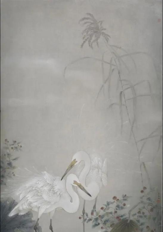 两只白鸟象征爱情的花是什么？花语中白鸟与爱情的关系？