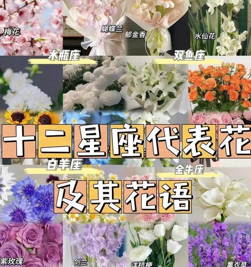 哪些花的花语代表吉祥？如何摆放？