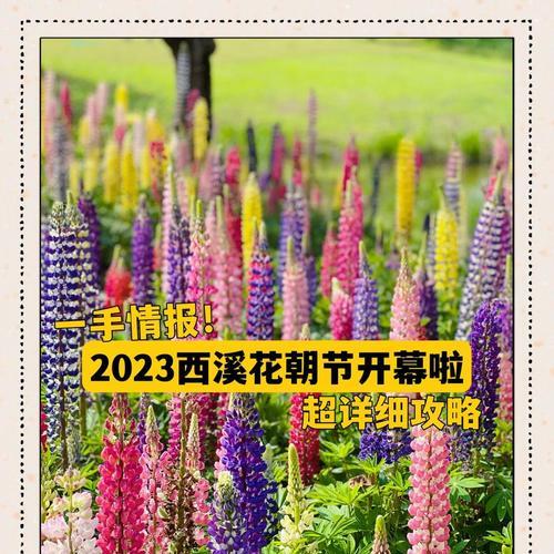花朝节的时间意义是什么？它代表什么？