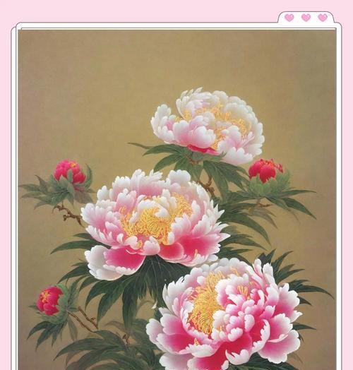 牡丹花在中国文化中代表什么？