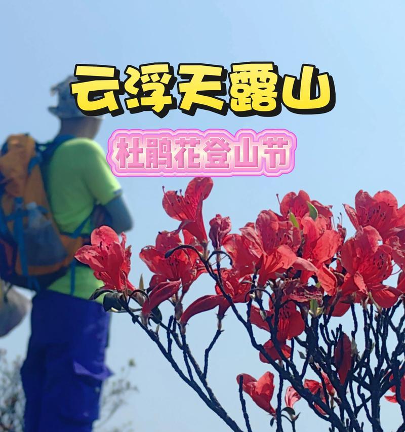 杜鹃花节象征着什么？杜鹃花节的意义是什么？