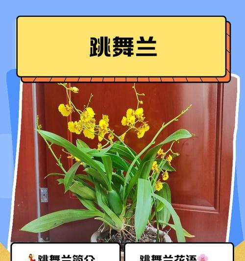 过期的牛奶可以用来浇花吗？（适合浇什么花？如何使用？以及注意事项！）