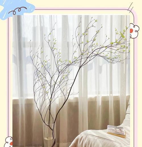 养殖好吊钟，高效出产（家庭养殖方法及技巧）