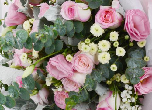 以康乃馨花代表生日快乐（传递快乐与祝福的芬芳）