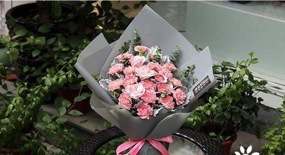 康乃馨（传递爱意与美好）