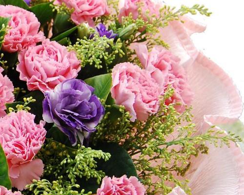 白色康乃馨（用白色康乃馨传递无尽的爱与美好）