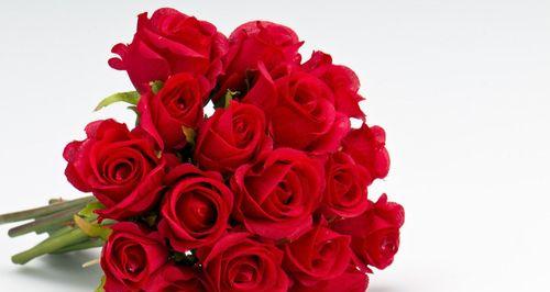 小玫瑰的寓意与象征意义（绽放于细腻中的美丽之花）