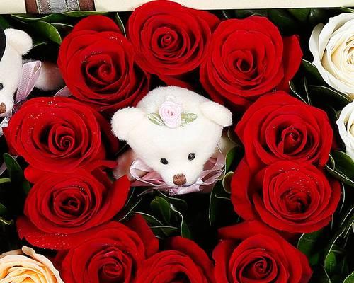 11朵玫瑰花的寓意（花开似锦）