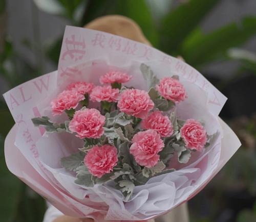 11朵康乃馨的深意（以鲜花传递情感的艺术与哲学）