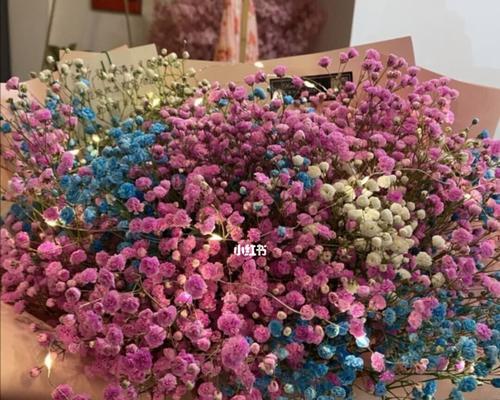 满天星红颜色花语的魅力(绽放热情)