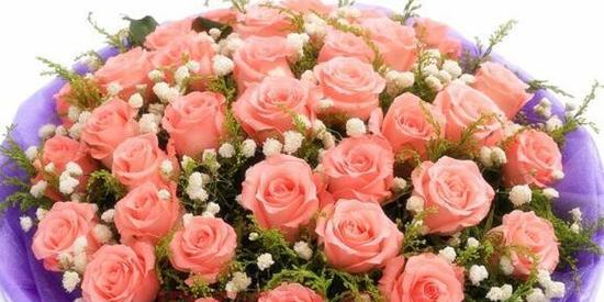 什么花的花语代表表白？如何用花卉表达爱意？