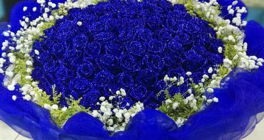 蓝色满天星的花语与寓意（探寻蓝色满天星背后的意义）