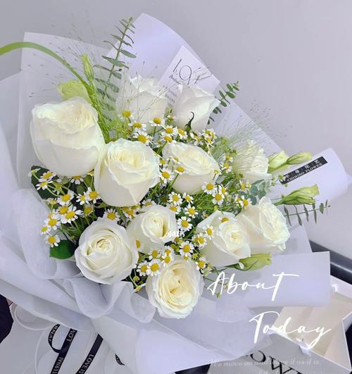 白玫瑰11朵花语的深刻含义（用一束白玫瑰11朵传递爱与敬意）