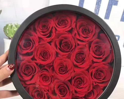 15朵玫瑰花的含义与传说（揭秘花语的奥秘）